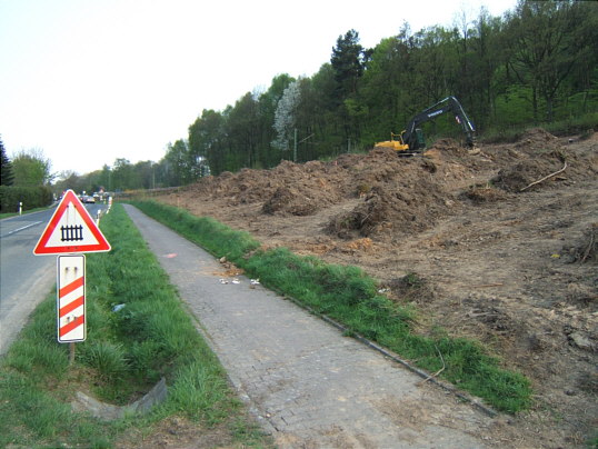 Bild: Nochmal Erdwälle