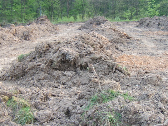 Bild: Erdwälle aus der Nähe