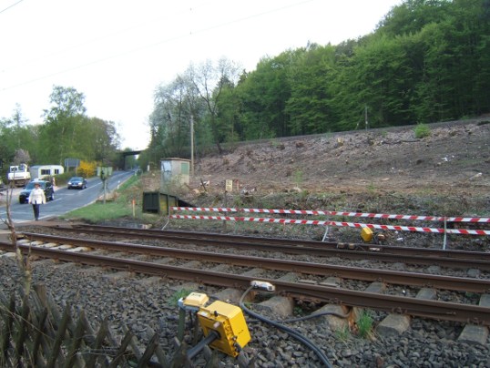 Bild: Nochmal Rodung