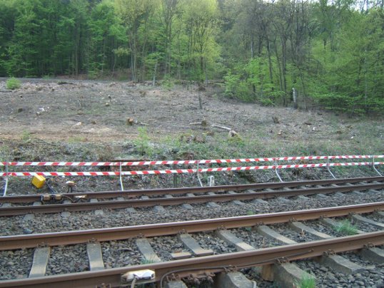 Bild: Die Waldrodung zwischen den beiden Bahnstrecken.