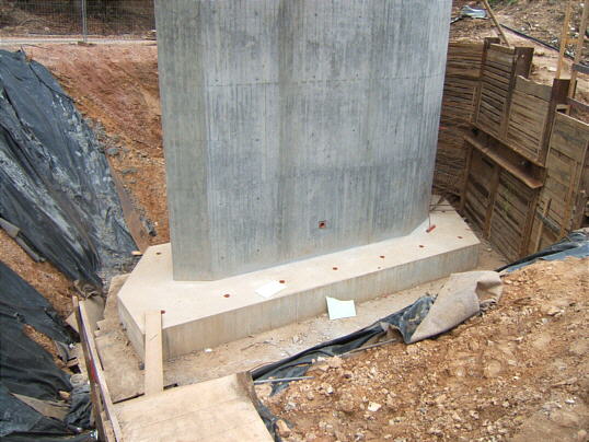 Bild: Dort wächst er aus dem Boden.