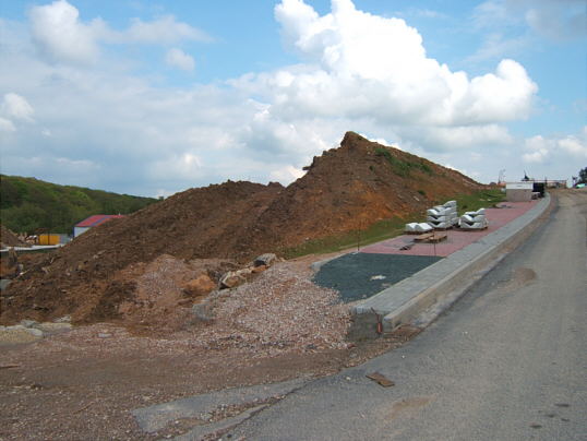 Bild: Ein Bärsch. Fehlt nur de Ochs.