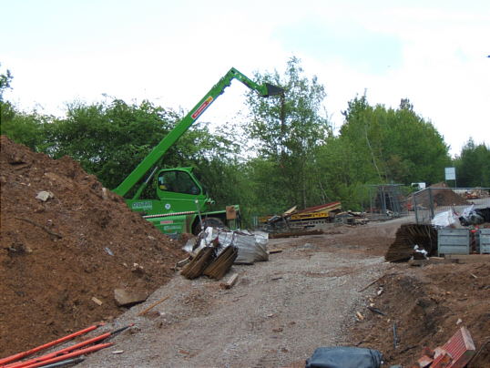 Bild: Und noch einer!