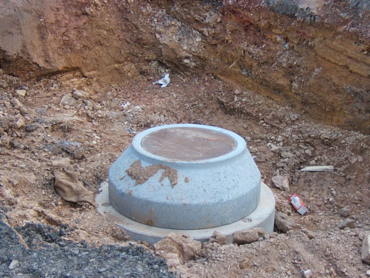 Bild: ...nochmal aus der Nähe.