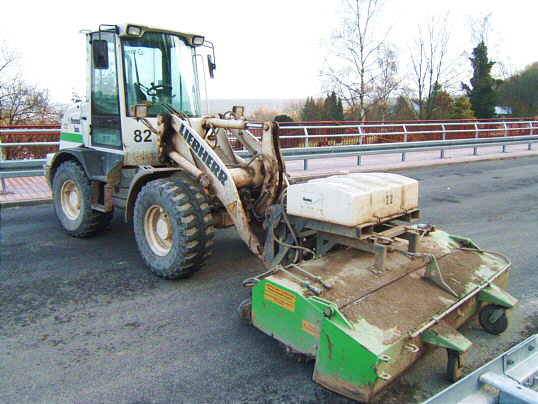 Bild: Der hier versperrt den Weg.