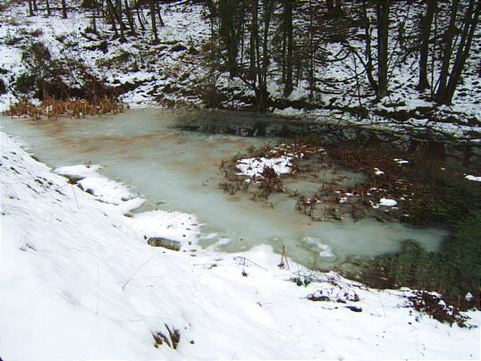 Bild: Der Eisweiher in Erfüllung seines Namens