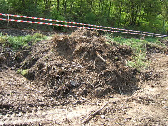 Bild: Ein Berg aus Erde und Strüppsel