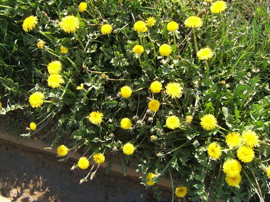 Bild: So, Fernseher ausstellen!