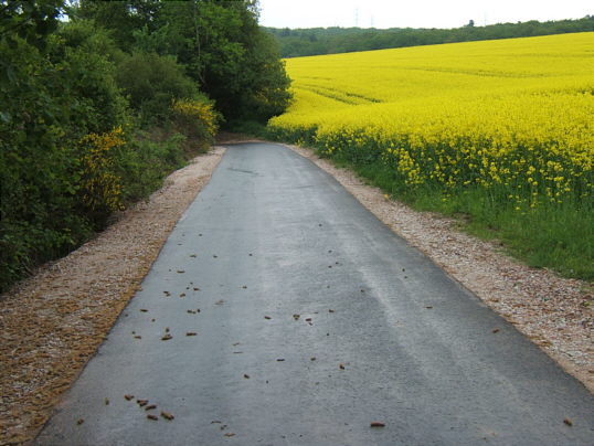 Bild: Der Weg runter zur Unterführung (aus Richtung Friedhof)