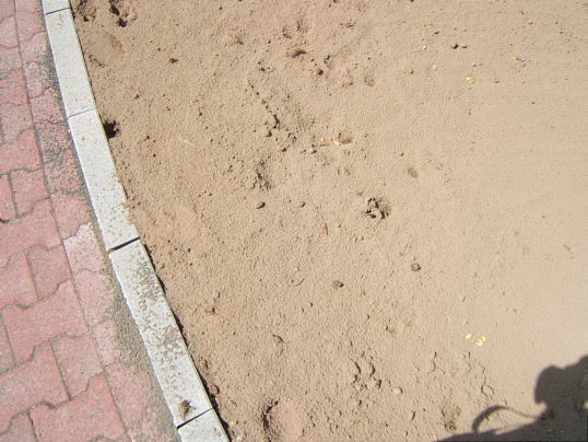 Bild: Neben dem Kreisel: Die Erde sieht stabil aus...