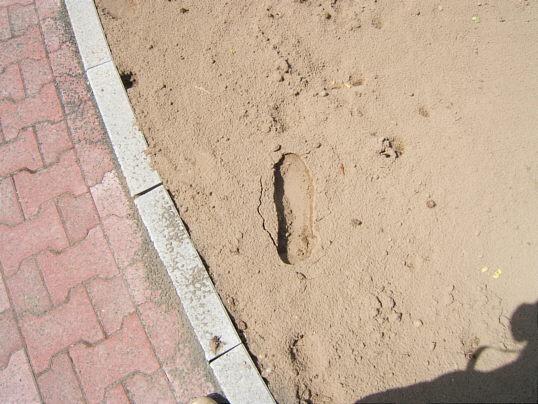 Bild: ...ein Trugschluss.