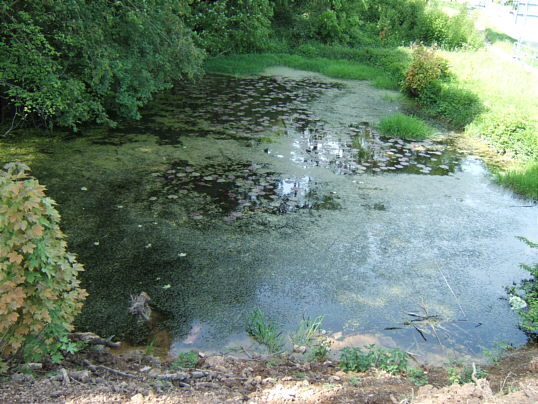 Bild: Der immer noch intakte Eisweiher