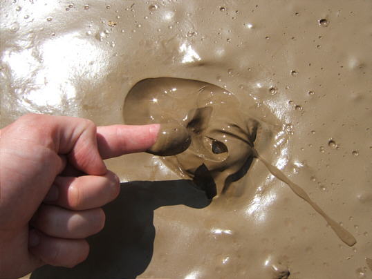 Bild: Schöner Schlamm in einer schönen Schlammpfütze