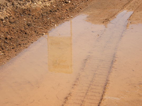 Bild: Pitschepatsche