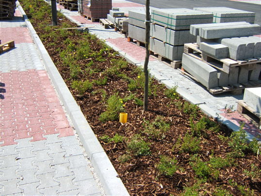 Bild: Ein Bepflanzungsstreifen