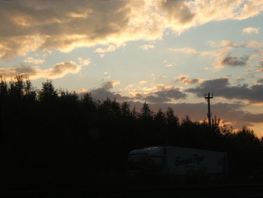 Bild: Himmel und Wald