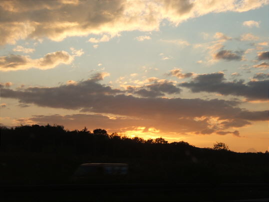 Bild: Ausgesprochen fein