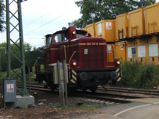 Bild: Ein kleines Lökchen auf Reisen