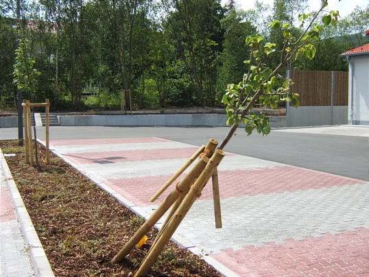 Bild: Frauenparkplatz? ;-)