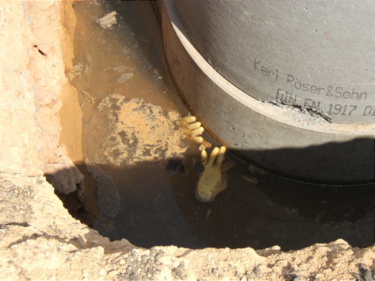 Bild: Da wird doch keine Leiche liegen...