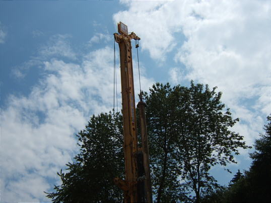 Bild: Baumschine und Baum und Zeug