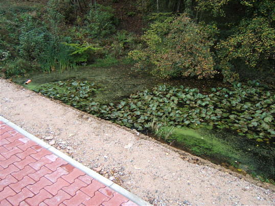 Bild: Unfassbar: Der Eisweiher hat alles überlebt!