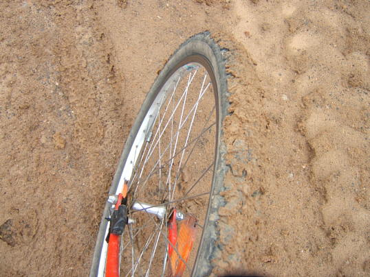 Bild: Sieht Scheiße aus.