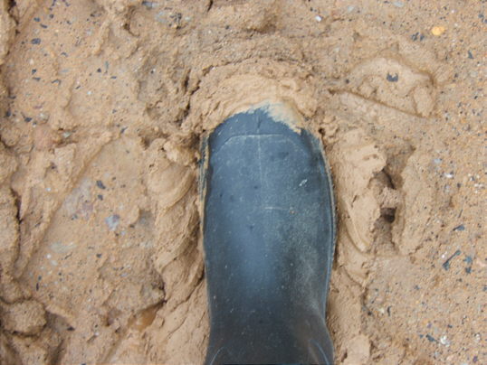 Bild: Sehr feiner Schlamm.