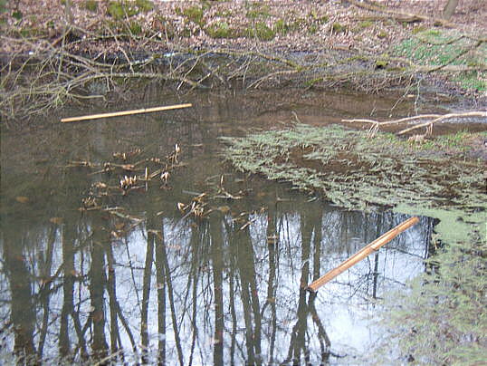 Bild: Zwei Geländer-Balken sind dort gelandet.