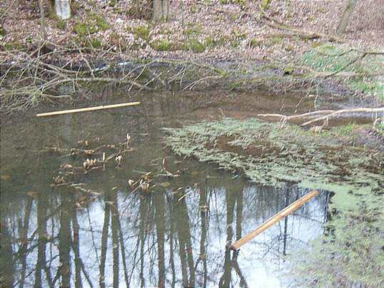 Bild: Weiß jemand, was ein Deja-Vu ist?