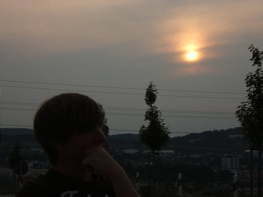 Bild: Das Licht am Himmel bescheint das Leben am Boden.