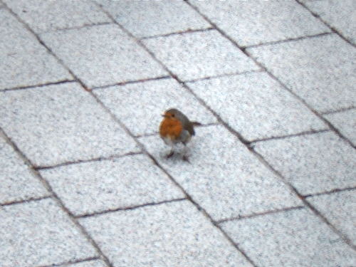 Bild: Inspektion des Bauplatzes