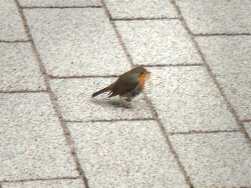 Bild: Ja, hier bauen wir!