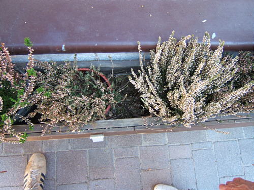 Bild: R?uber waren am Werk