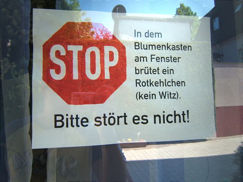 Bild: Das Schild k?nnen wir nun abh?ngen