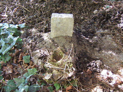 Bild: Das Grab der sechs Kleinen