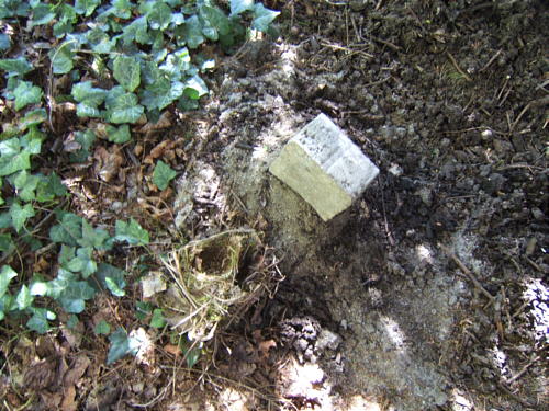 Bild: Feines Heia und macht's gut!