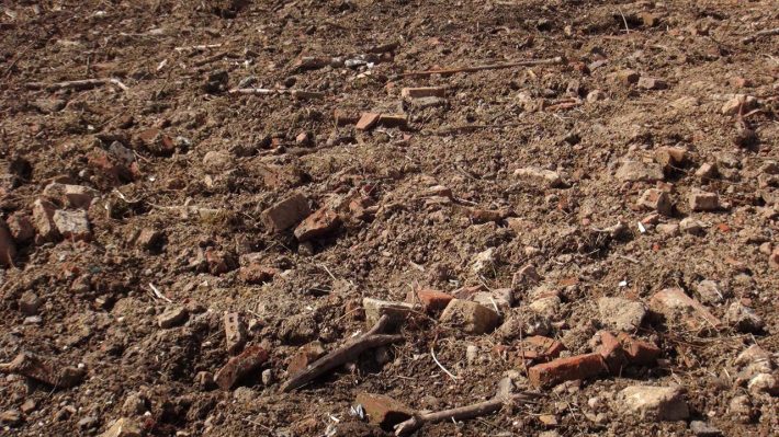 Die Erde aber wüst und wirr...