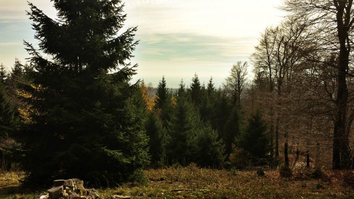 Aussicht von der Hohen Kanzel