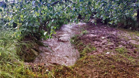 Nur mäßige Über­schwem­mungen in Niedernhausen