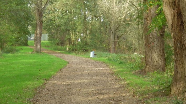 zugvoegel-und-autal-2014-10_12