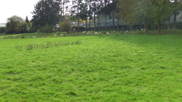 zugvoegel-und-autal-2014-10_14