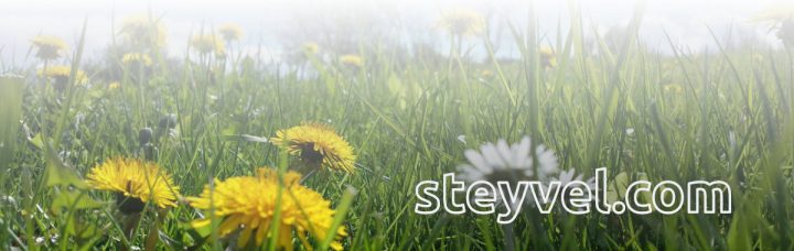 Steyvel-Header_2018-fruehling