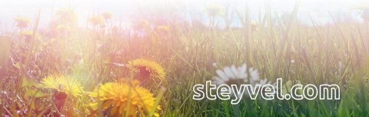 Steyvel-Header_2018-fruehling-s