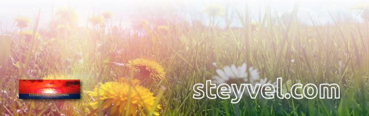 Steyvel-Header_2018-fruehling-s-L